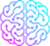 DSI Brain