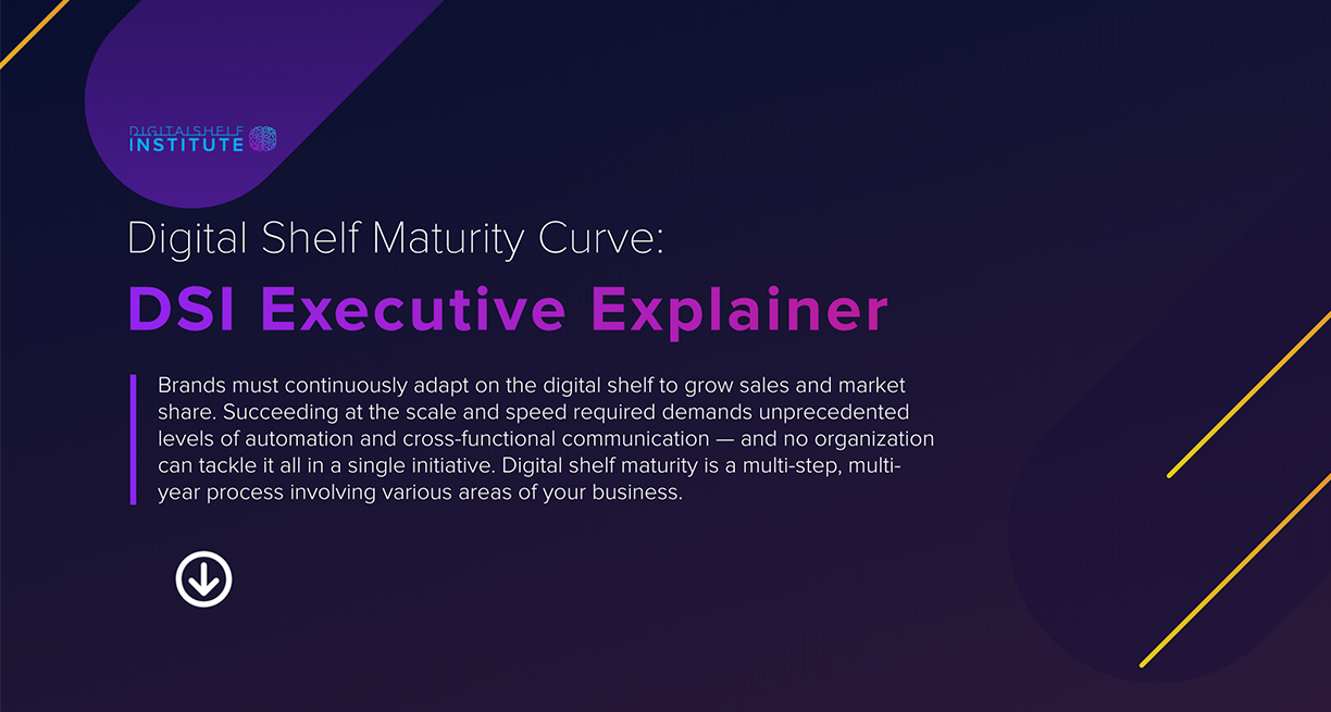 Digital Shelf Executive Explainer-1