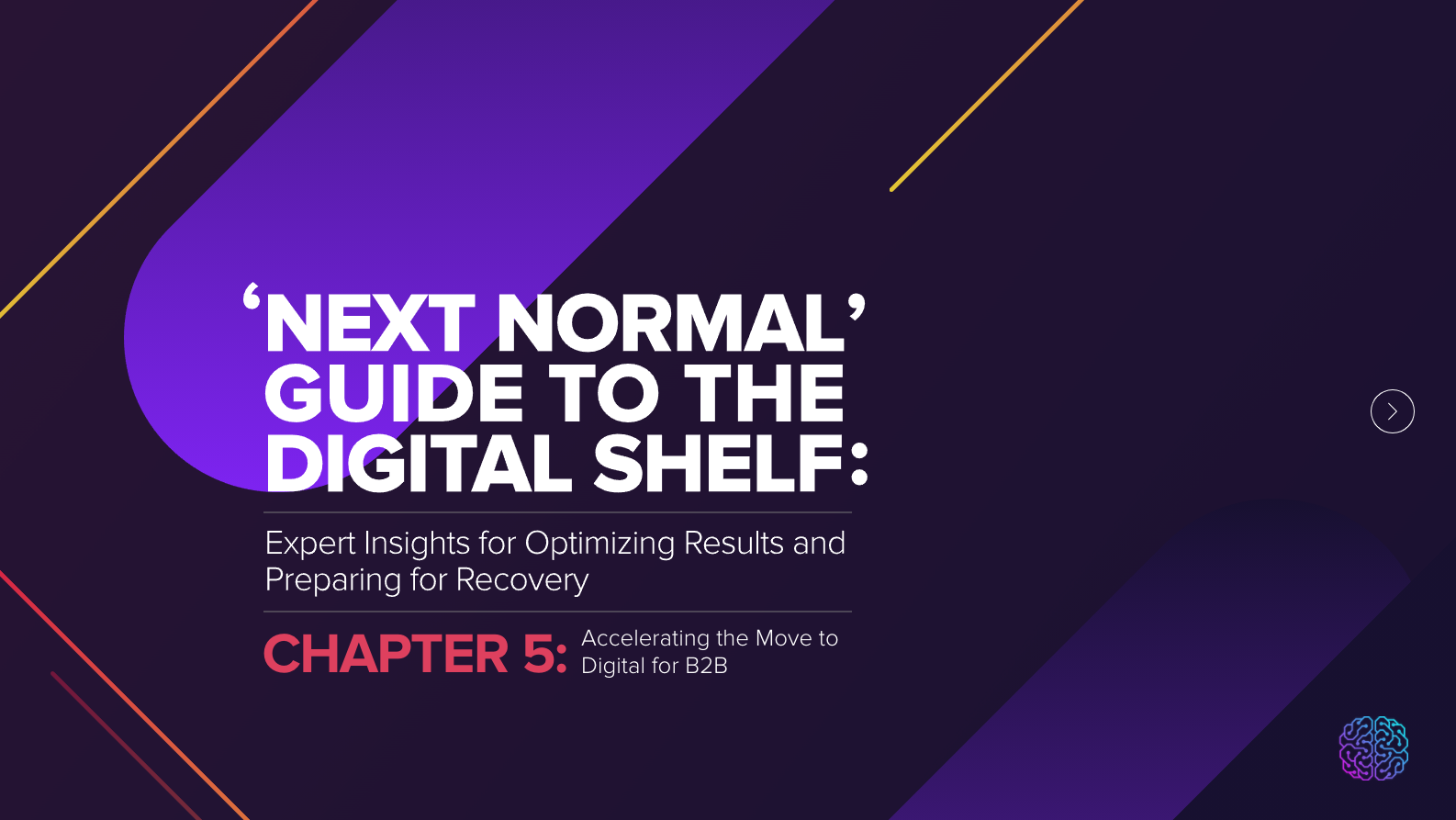 Guide to the Digital Shelf