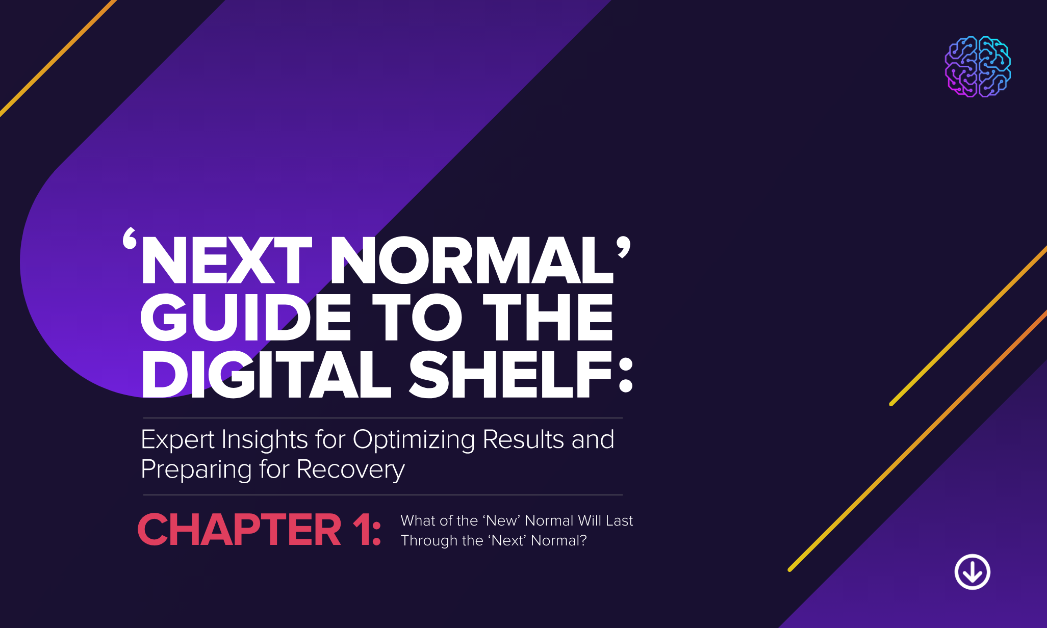 Next Normal Guide to the Digital Shelf