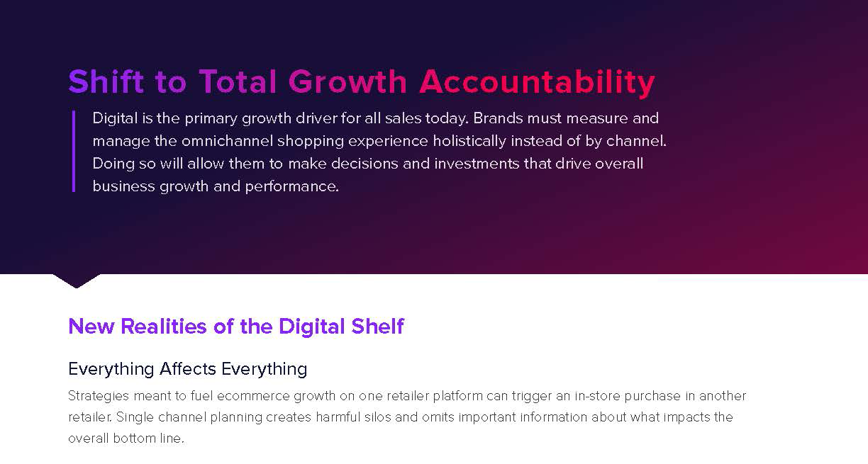 Shift to Total Growth Accountability - Executive Explainer1